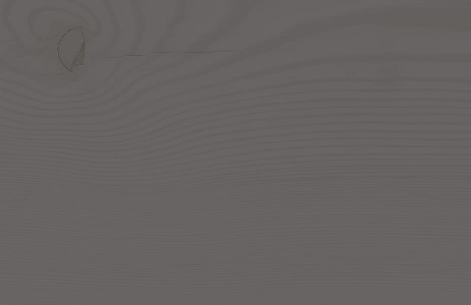 Выкрас на лиственнице